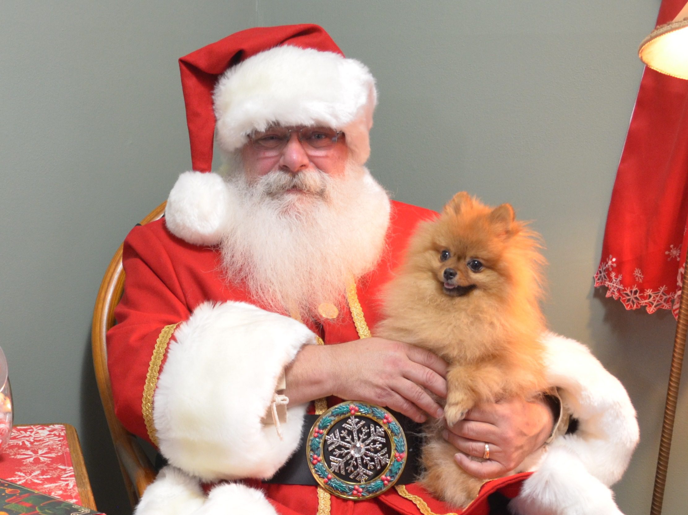 Santa Tom seated, posing with Tinker the Pomeranian
